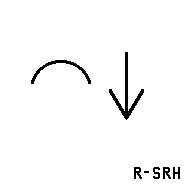 L4